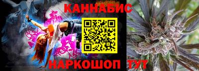 молекула духа Будённовск