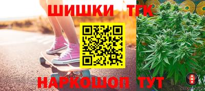 молекула духа Будённовск