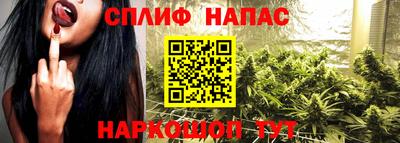 молекула духа Будённовск