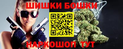 молекула духа Будённовск